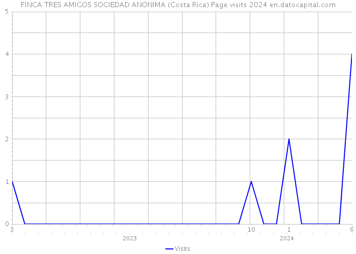 FINCA TRES AMIGOS SOCIEDAD ANONIMA (Costa Rica) Page visits 2024 