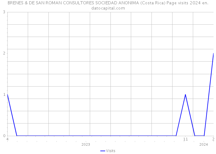 BRENES & DE SAN ROMAN CONSULTORES SOCIEDAD ANONIMA (Costa Rica) Page visits 2024 