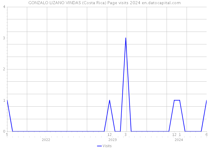 GONZALO LIZANO VINDAS (Costa Rica) Page visits 2024 
