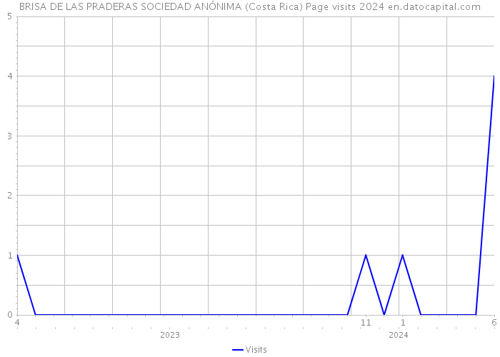 BRISA DE LAS PRADERAS SOCIEDAD ANÓNIMA (Costa Rica) Page visits 2024 