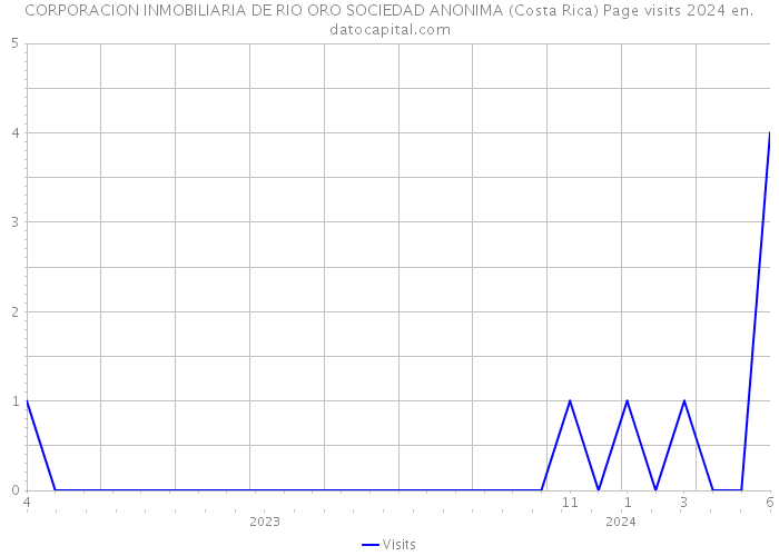 CORPORACION INMOBILIARIA DE RIO ORO SOCIEDAD ANONIMA (Costa Rica) Page visits 2024 