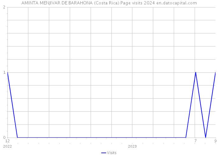 AMINTA MENJIVAR DE BARAHONA (Costa Rica) Page visits 2024 