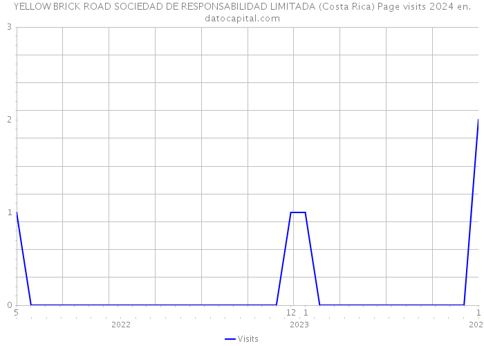 YELLOW BRICK ROAD SOCIEDAD DE RESPONSABILIDAD LIMITADA (Costa Rica) Page visits 2024 