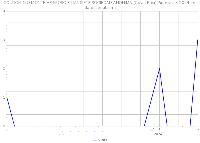 CONDOMINIO MONTE HERMOSO FILIAL SIETE SOCIEDAD ANONIMA (Costa Rica) Page visits 2024 