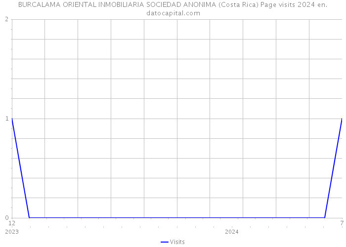 BURCALAMA ORIENTAL INMOBILIARIA SOCIEDAD ANONIMA (Costa Rica) Page visits 2024 
