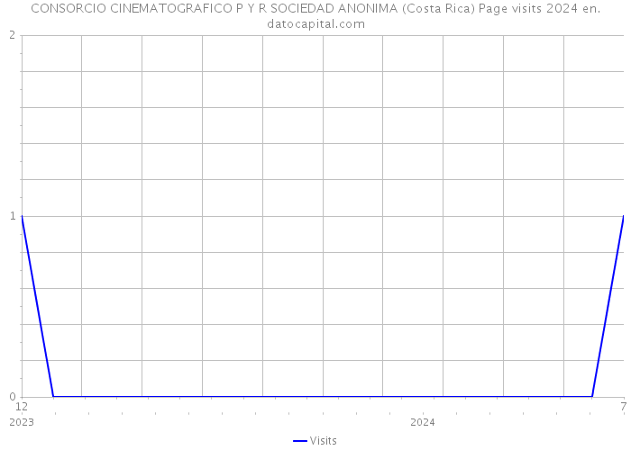 CONSORCIO CINEMATOGRAFICO P Y R SOCIEDAD ANONIMA (Costa Rica) Page visits 2024 