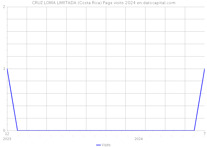 CRUZ LOMA LIMITADA (Costa Rica) Page visits 2024 