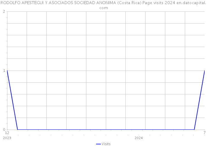 RODOLFO APESTEGUI Y ASOCIADOS SOCIEDAD ANONIMA (Costa Rica) Page visits 2024 