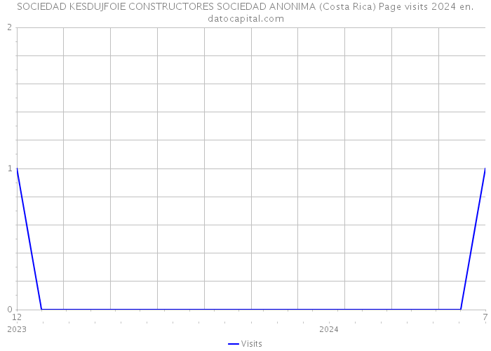 SOCIEDAD KESDUJFOIE CONSTRUCTORES SOCIEDAD ANONIMA (Costa Rica) Page visits 2024 