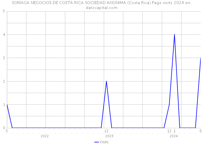 SOMAGA NEGOCIOS DE COSTA RICA SOCIEDAD ANONIMA (Costa Rica) Page visits 2024 
