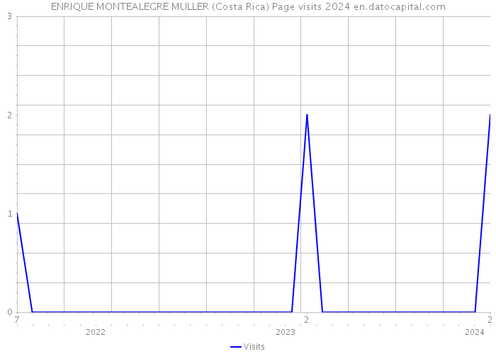 ENRIQUE MONTEALEGRE MULLER (Costa Rica) Page visits 2024 