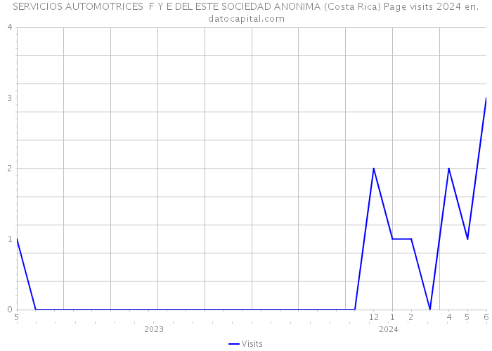 SERVICIOS AUTOMOTRICES F Y E DEL ESTE SOCIEDAD ANONIMA (Costa Rica) Page visits 2024 