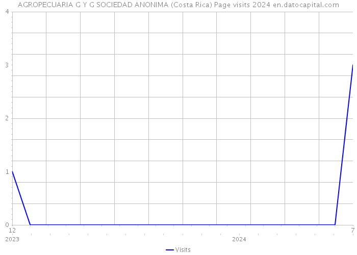 AGROPECUARIA G Y G SOCIEDAD ANONIMA (Costa Rica) Page visits 2024 