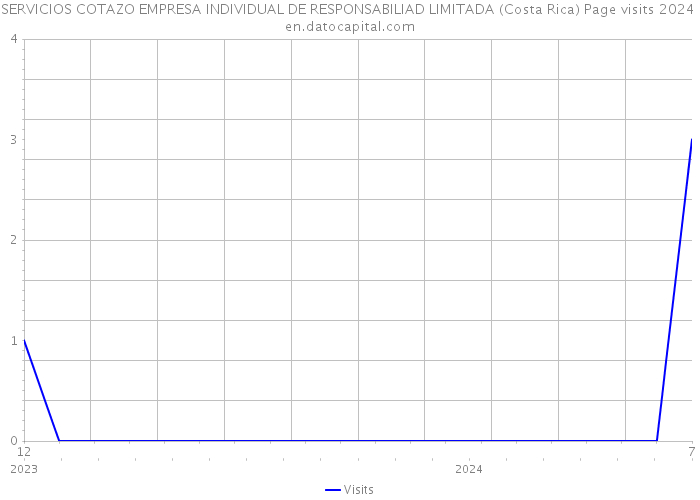 SERVICIOS COTAZO EMPRESA INDIVIDUAL DE RESPONSABILIAD LIMITADA (Costa Rica) Page visits 2024 