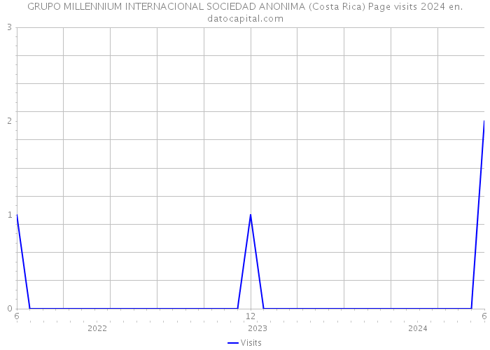 GRUPO MILLENNIUM INTERNACIONAL SOCIEDAD ANONIMA (Costa Rica) Page visits 2024 