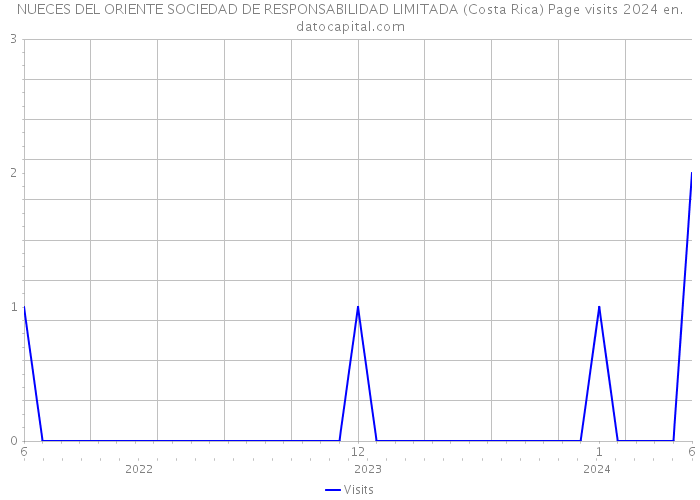 NUECES DEL ORIENTE SOCIEDAD DE RESPONSABILIDAD LIMITADA (Costa Rica) Page visits 2024 