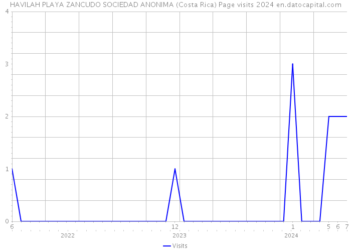 HAVILAH PLAYA ZANCUDO SOCIEDAD ANONIMA (Costa Rica) Page visits 2024 