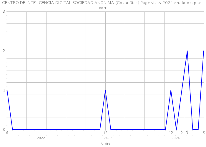 CENTRO DE INTELIGENCIA DIGITAL SOCIEDAD ANONIMA (Costa Rica) Page visits 2024 