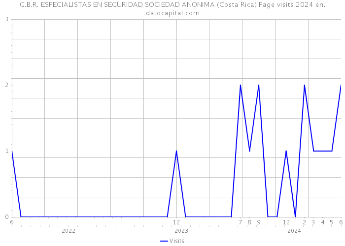 G.B.R. ESPECIALISTAS EN SEGURIDAD SOCIEDAD ANONIMA (Costa Rica) Page visits 2024 