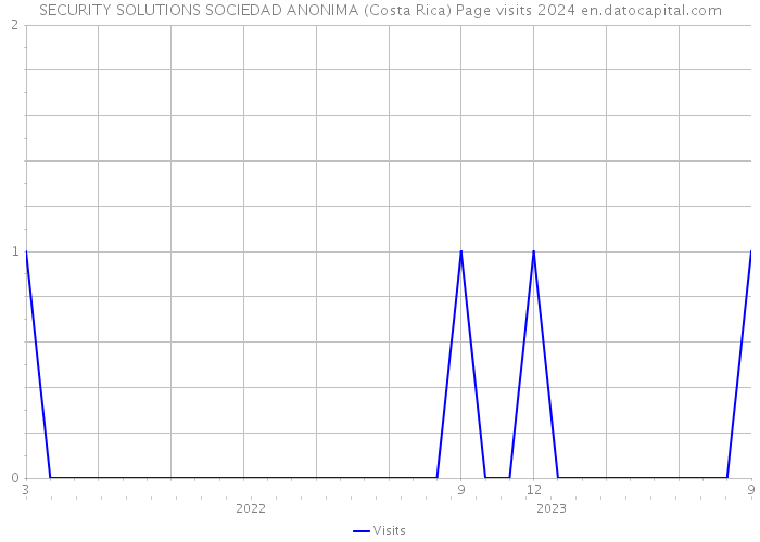 SECURITY SOLUTIONS SOCIEDAD ANONIMA (Costa Rica) Page visits 2024 