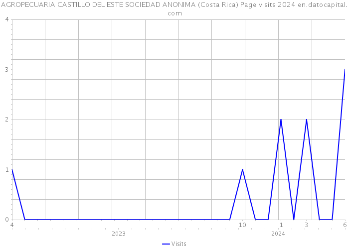 AGROPECUARIA CASTILLO DEL ESTE SOCIEDAD ANONIMA (Costa Rica) Page visits 2024 