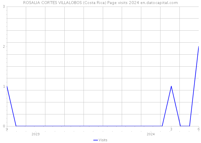 ROSALIA CORTES VILLALOBOS (Costa Rica) Page visits 2024 