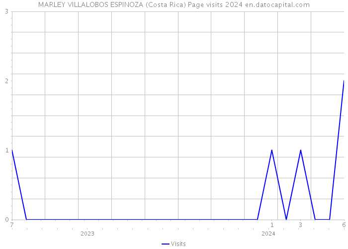 MARLEY VILLALOBOS ESPINOZA (Costa Rica) Page visits 2024 