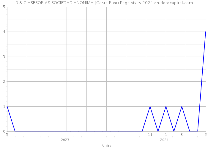 R & C ASESORIAS SOCIEDAD ANONIMA (Costa Rica) Page visits 2024 