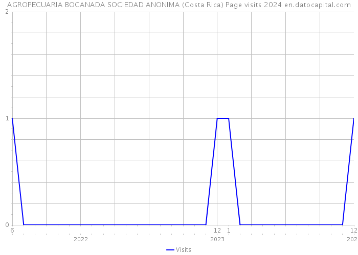 AGROPECUARIA BOCANADA SOCIEDAD ANONIMA (Costa Rica) Page visits 2024 