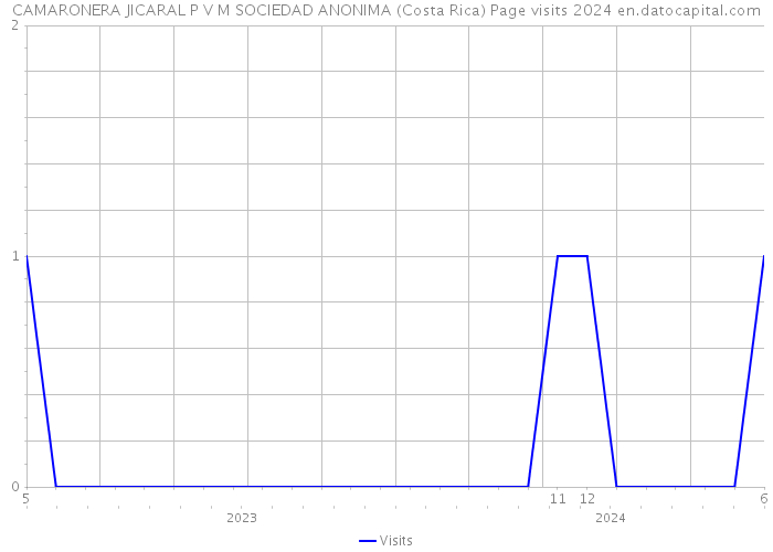 CAMARONERA JICARAL P V M SOCIEDAD ANONIMA (Costa Rica) Page visits 2024 