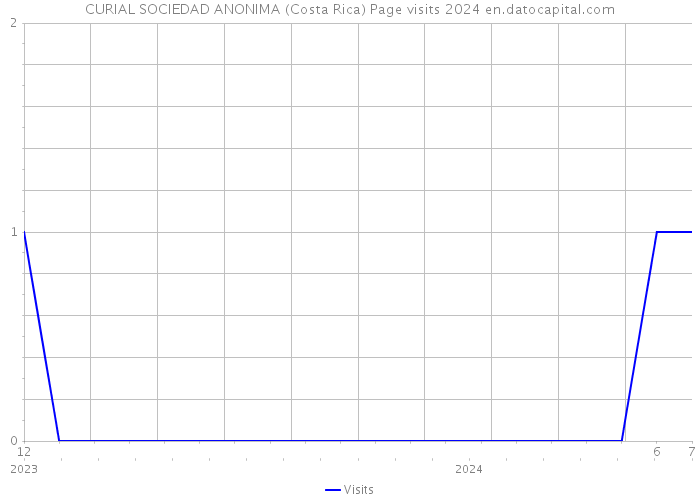 CURIAL SOCIEDAD ANONIMA (Costa Rica) Page visits 2024 