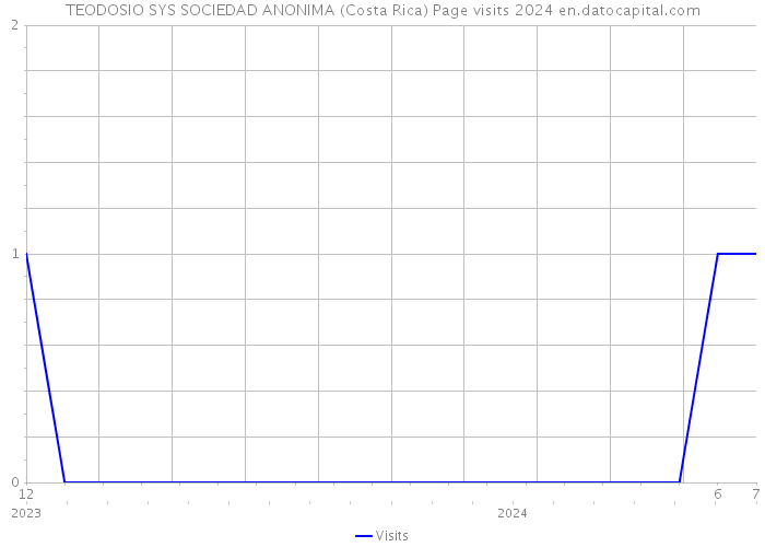 TEODOSIO SYS SOCIEDAD ANONIMA (Costa Rica) Page visits 2024 