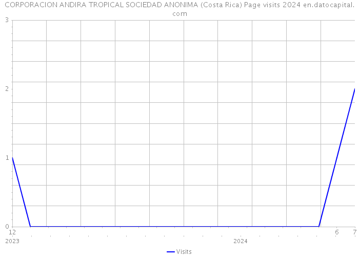 CORPORACION ANDIRA TROPICAL SOCIEDAD ANONIMA (Costa Rica) Page visits 2024 
