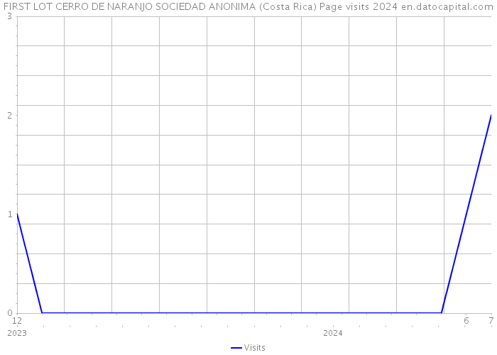FIRST LOT CERRO DE NARANJO SOCIEDAD ANONIMA (Costa Rica) Page visits 2024 