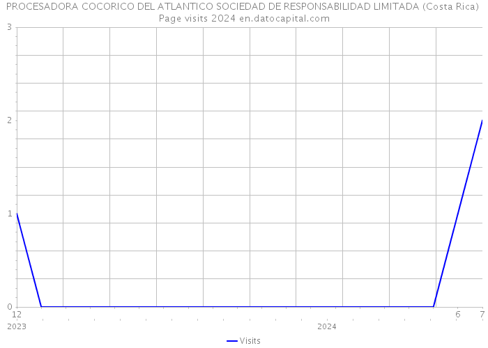 PROCESADORA COCORICO DEL ATLANTICO SOCIEDAD DE RESPONSABILIDAD LIMITADA (Costa Rica) Page visits 2024 