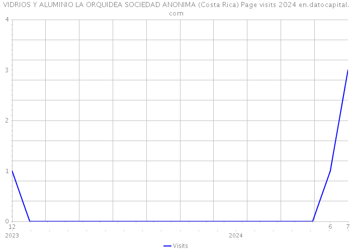 VIDRIOS Y ALUMINIO LA ORQUIDEA SOCIEDAD ANONIMA (Costa Rica) Page visits 2024 