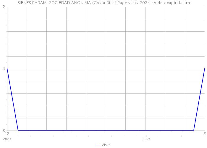 BIENES PARAMI SOCIEDAD ANONIMA (Costa Rica) Page visits 2024 