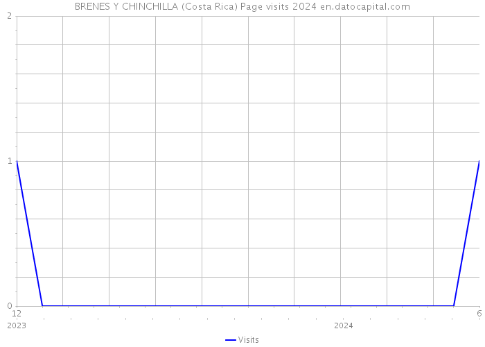 BRENES Y CHINCHILLA (Costa Rica) Page visits 2024 