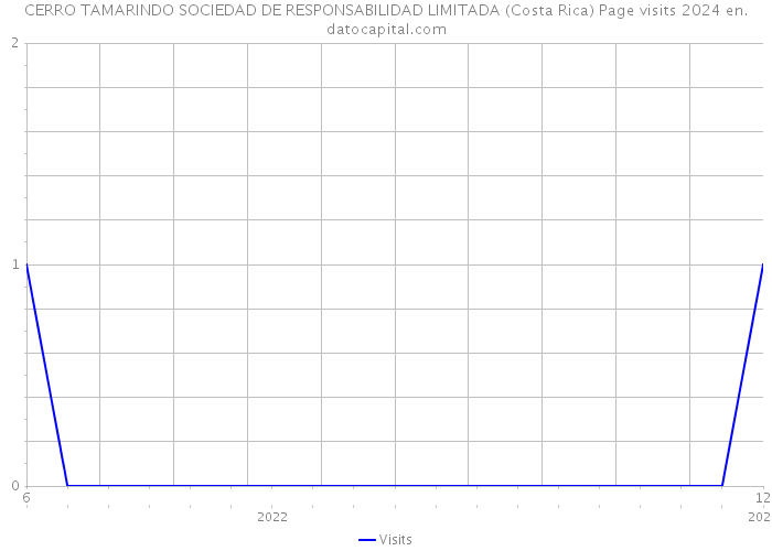 CERRO TAMARINDO SOCIEDAD DE RESPONSABILIDAD LIMITADA (Costa Rica) Page visits 2024 