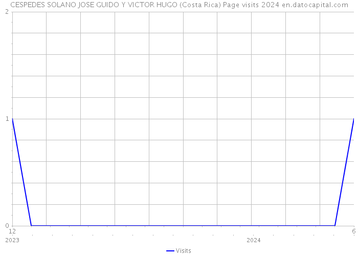 CESPEDES SOLANO JOSE GUIDO Y VICTOR HUGO (Costa Rica) Page visits 2024 