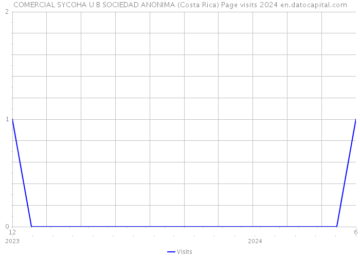 COMERCIAL SYCOHA U B SOCIEDAD ANONIMA (Costa Rica) Page visits 2024 