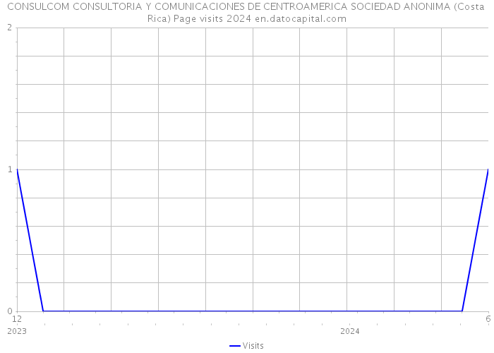 CONSULCOM CONSULTORIA Y COMUNICACIONES DE CENTROAMERICA SOCIEDAD ANONIMA (Costa Rica) Page visits 2024 