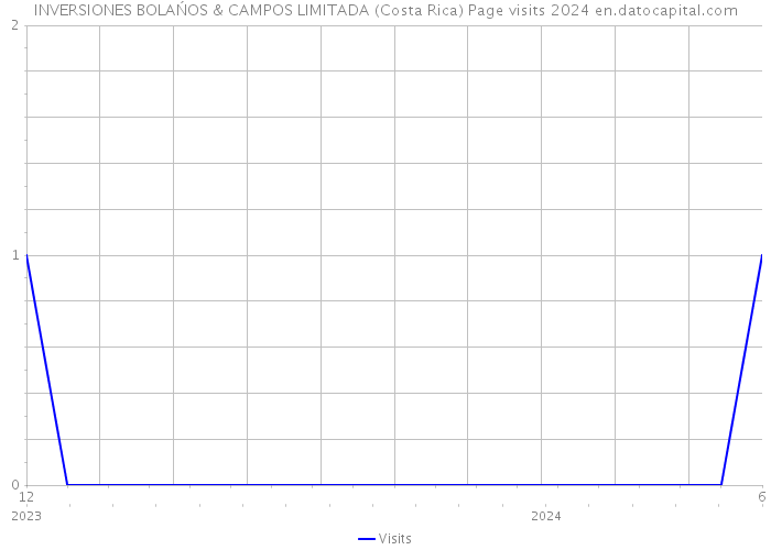 INVERSIONES BOLAŃOS & CAMPOS LIMITADA (Costa Rica) Page visits 2024 