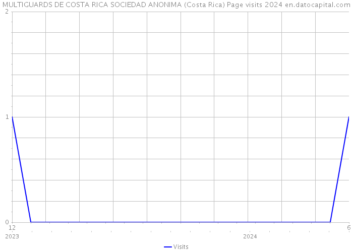 MULTIGUARDS DE COSTA RICA SOCIEDAD ANONIMA (Costa Rica) Page visits 2024 