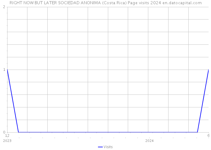RIGHT NOW BUT LATER SOCIEDAD ANONIMA (Costa Rica) Page visits 2024 