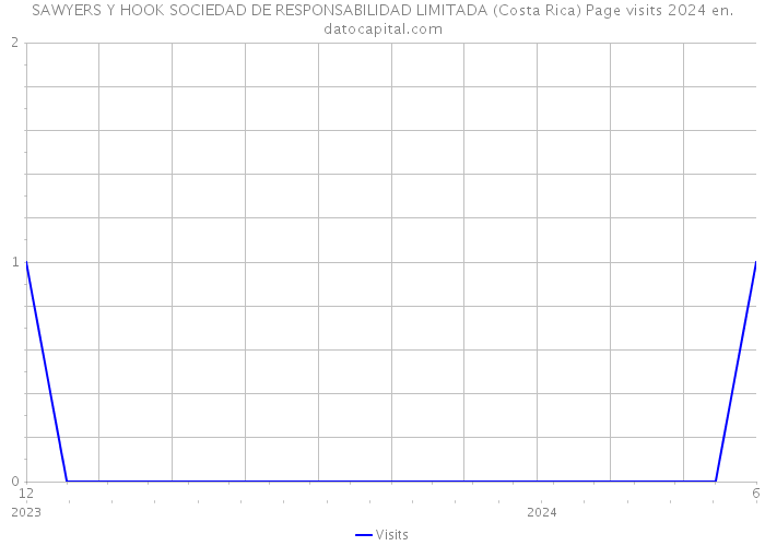 SAWYERS Y HOOK SOCIEDAD DE RESPONSABILIDAD LIMITADA (Costa Rica) Page visits 2024 