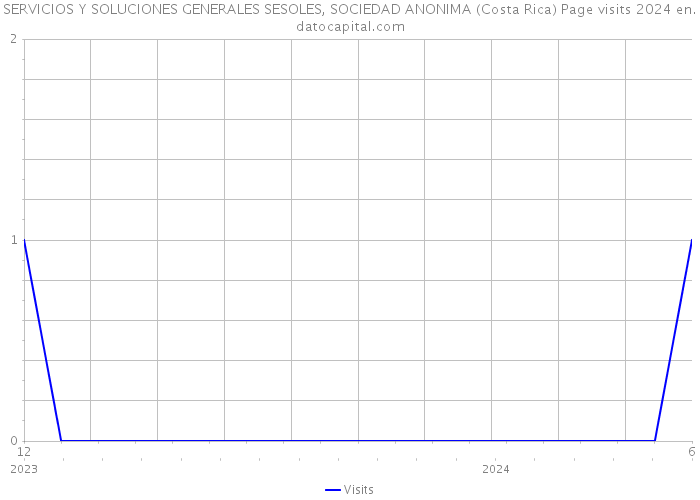 SERVICIOS Y SOLUCIONES GENERALES SESOLES, SOCIEDAD ANONIMA (Costa Rica) Page visits 2024 