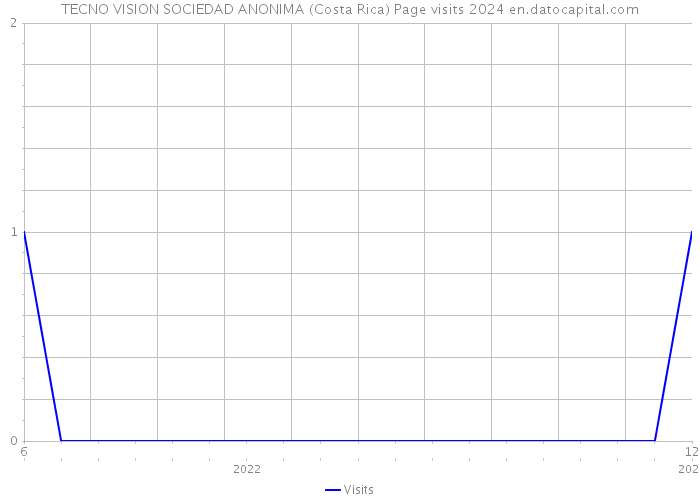 TECNO VISION SOCIEDAD ANONIMA (Costa Rica) Page visits 2024 