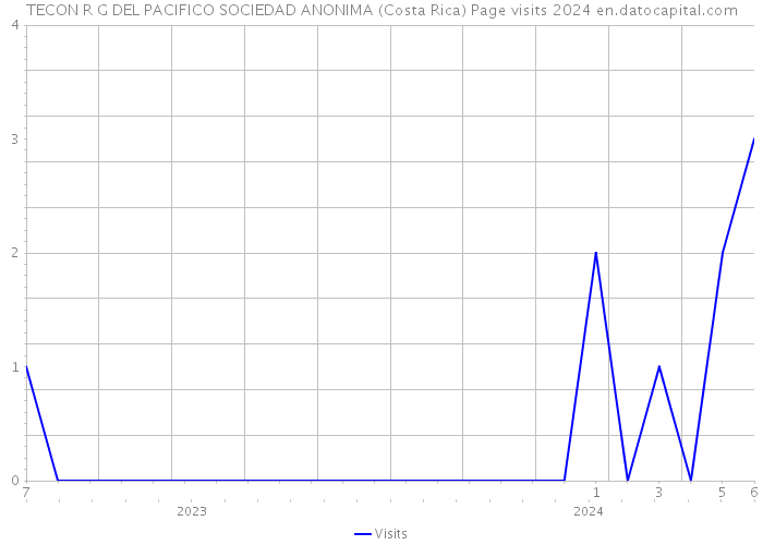 TECON R G DEL PACIFICO SOCIEDAD ANONIMA (Costa Rica) Page visits 2024 