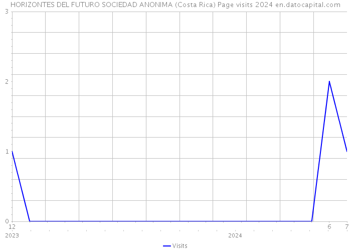 HORIZONTES DEL FUTURO SOCIEDAD ANONIMA (Costa Rica) Page visits 2024 